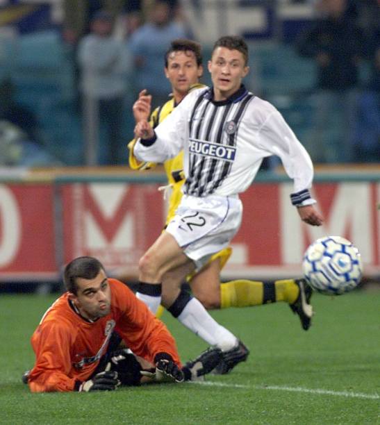 引起了巨大 引起了巨大